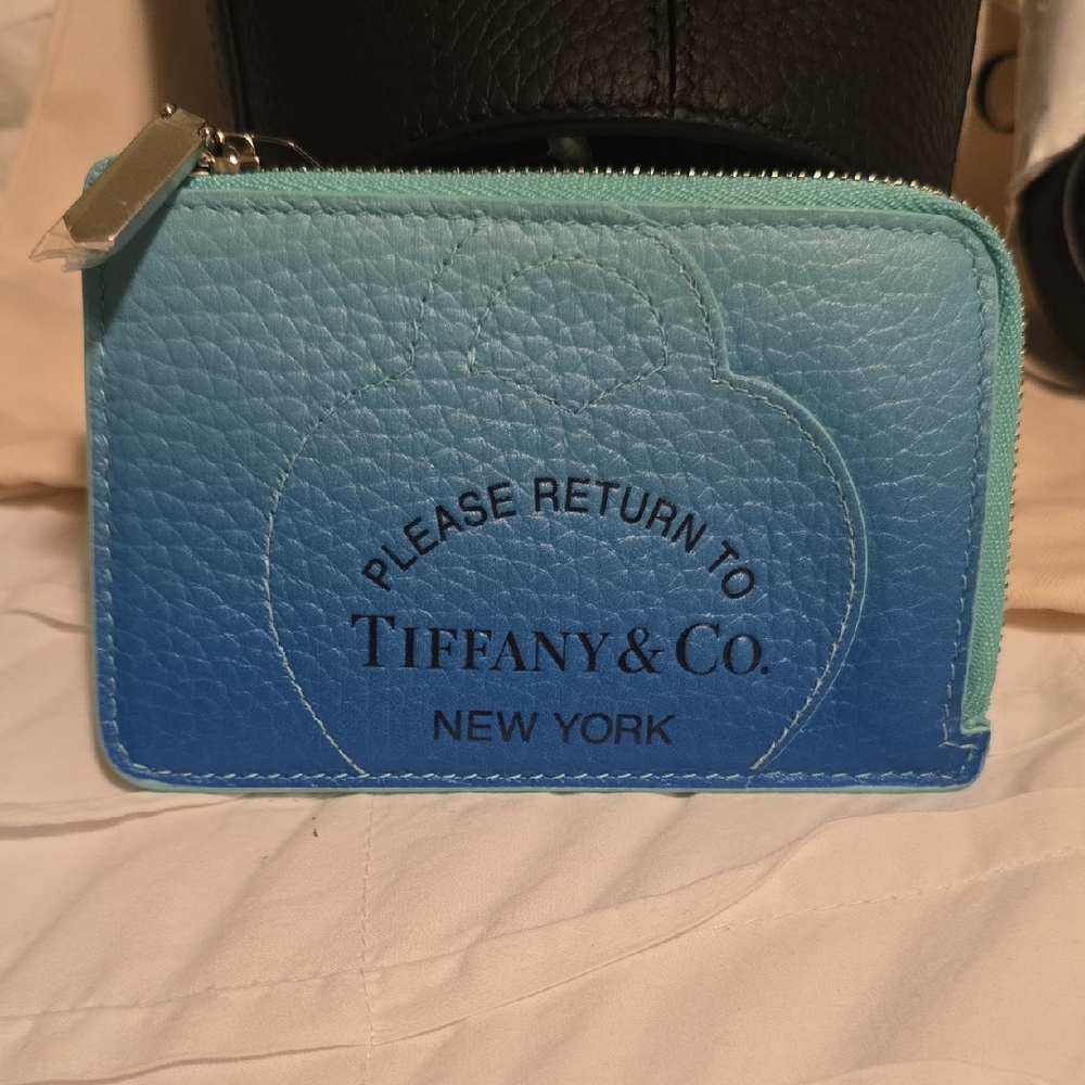 Tiffany & Co. Blue Gradient Leather Pouch